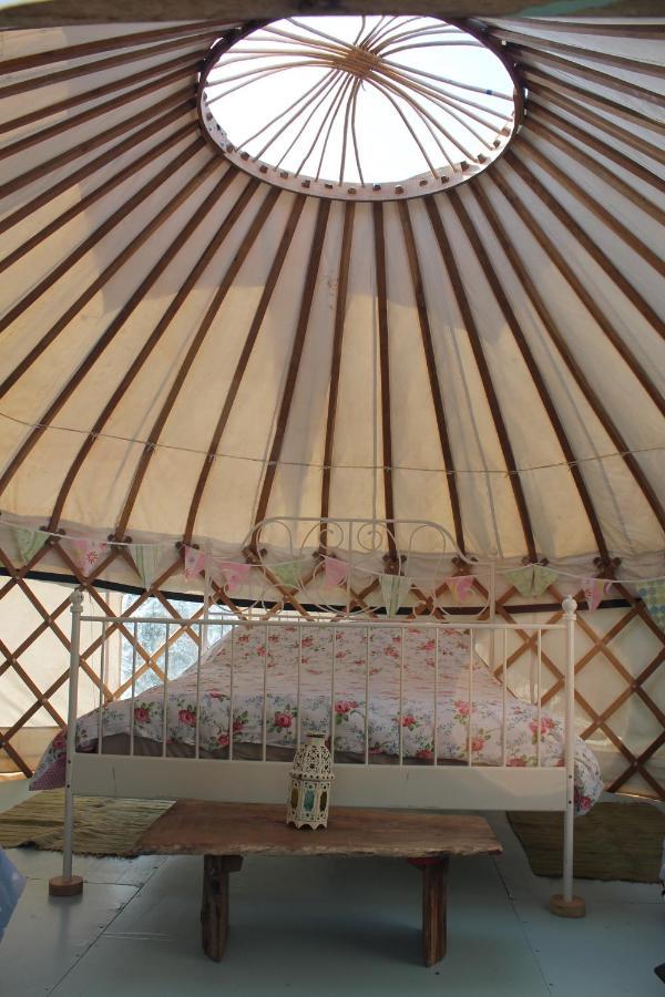 Mill Haven Place Glamping Yurt 3 Haverfordwest Esterno foto